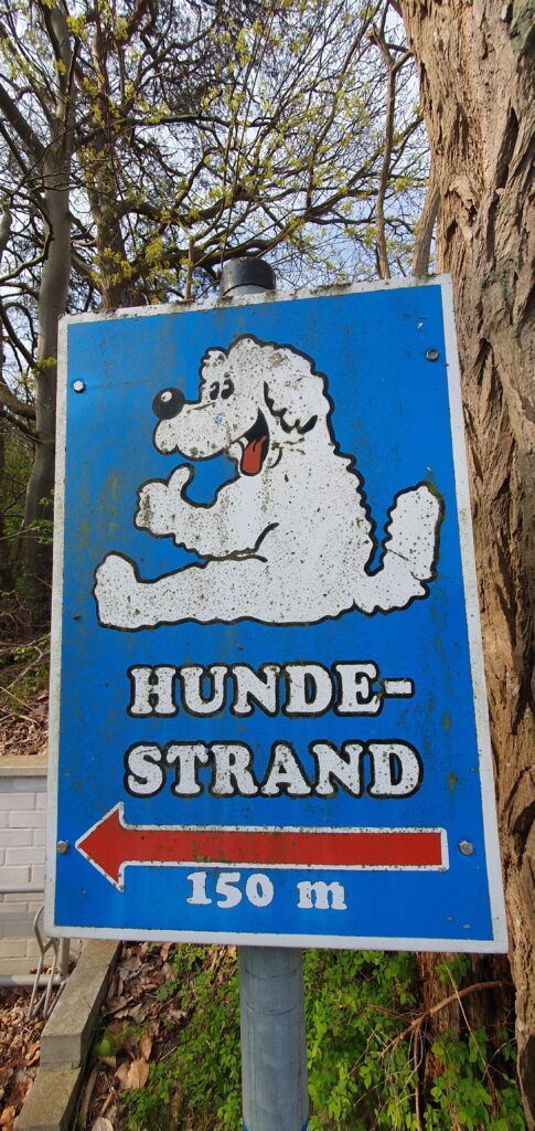 Hunde-Strand Usedom- perfekt für Hunde und Menschen