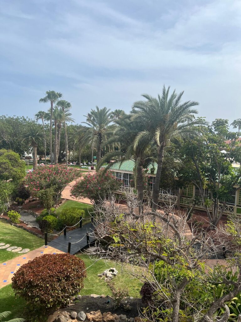 Palmen und viel grün im Aldiana Fuerteventura