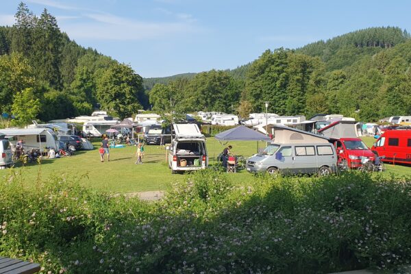 Familienwiese an der Rezeption Camping Hellenthal Eifel Naturnah bei Wildbach Camping