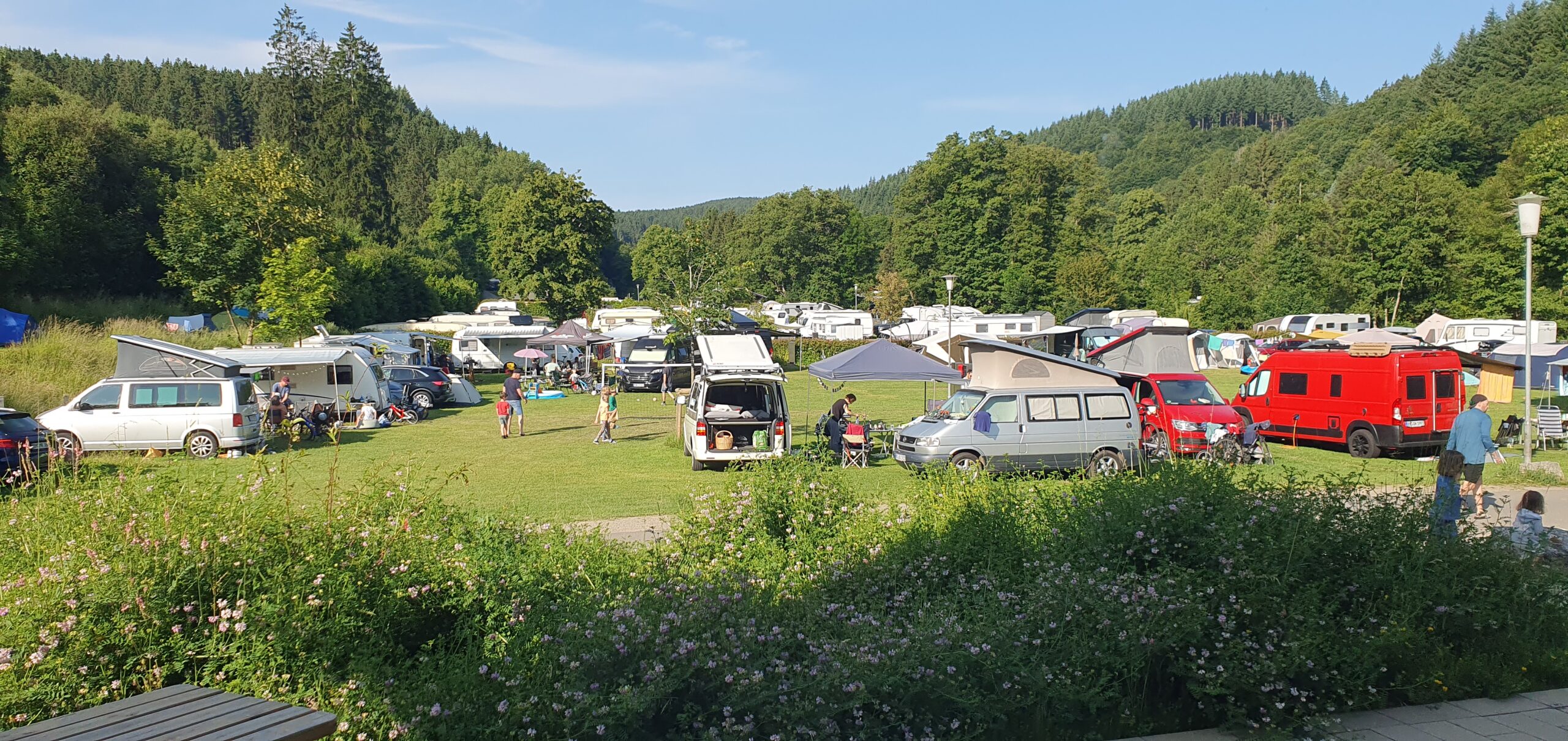 Familienwiese an der Rezeption Camping Hellenthal Eifel Naturnah bei Wildbach Camping